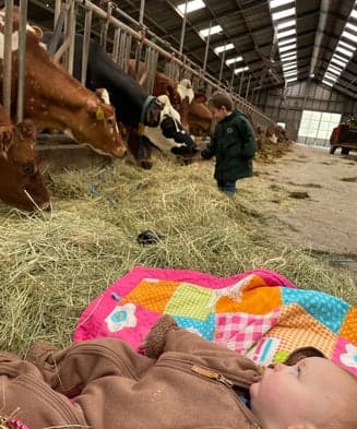 Kinderdagverblijf Hoeve Ruitenbeek B.V. - Daycare in Leusden