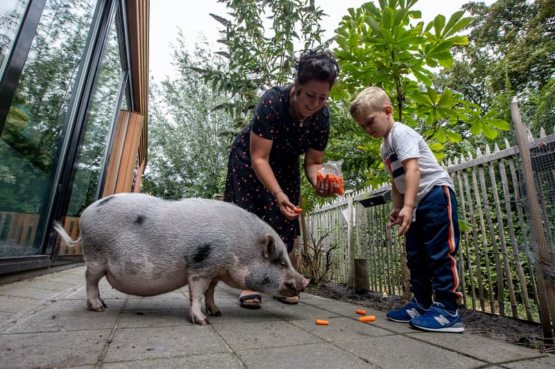 Rode Ridder - Daycare in De Lier