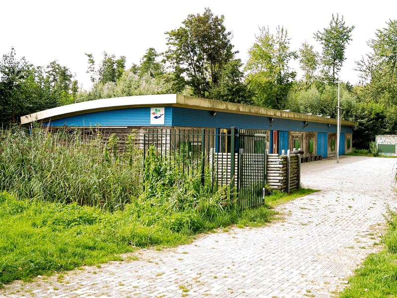 Quinzokids de Scouting - Buitenschoolse opvang in Almere