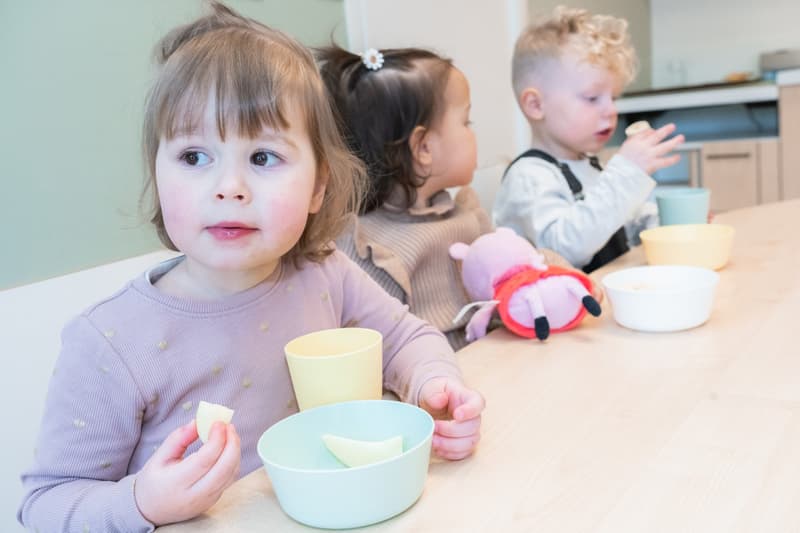 KDV Da Vinci - Daycare in 's-Gravenhage