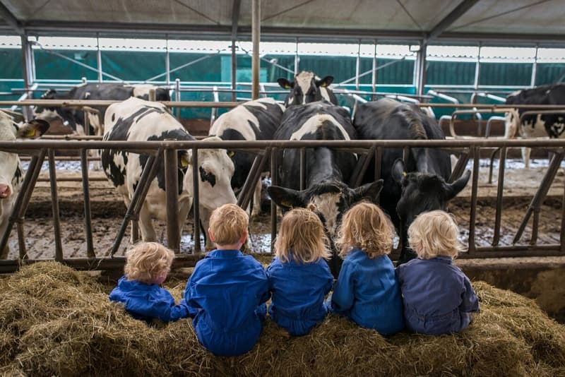 Ti-ta Tovenaar bv - Buitenschoolse opvang in Driehuizen