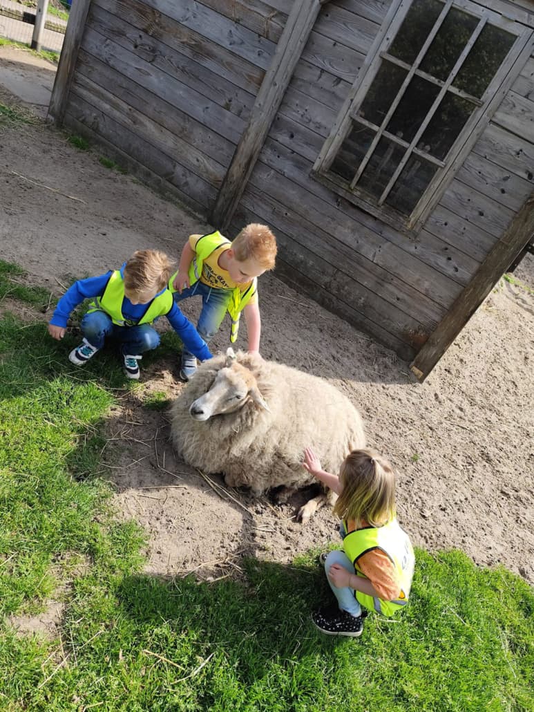 kindcentrum De Koterclub, locatie KDV Wiene - Daycare in Ambt Delden