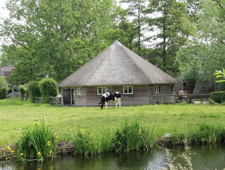 Peutergroep De Schaapskooi - Kinderdagverblijf in Gouda