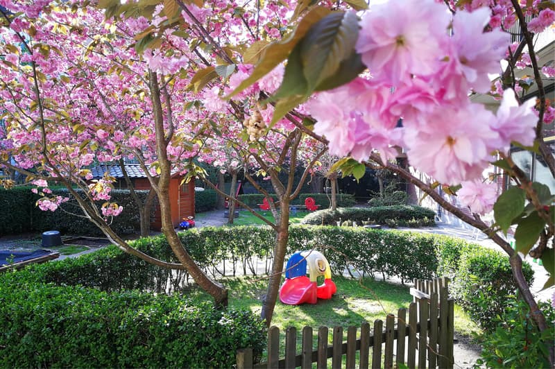 Pinokkio - Kinderdagverblijf in Rotterdam