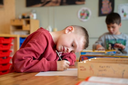 BSO Haagje - Image 1