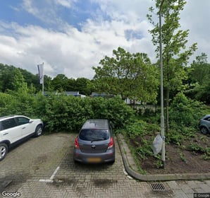 de Saffier - Image 1