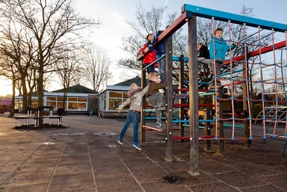 BSO Knikkebol (BSO) - Image 1