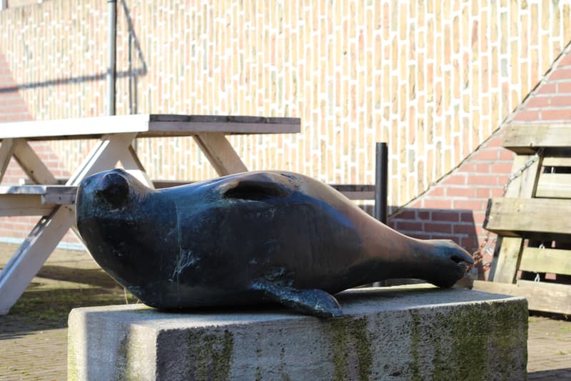 De Zeerob - After-school care in Den Helder
