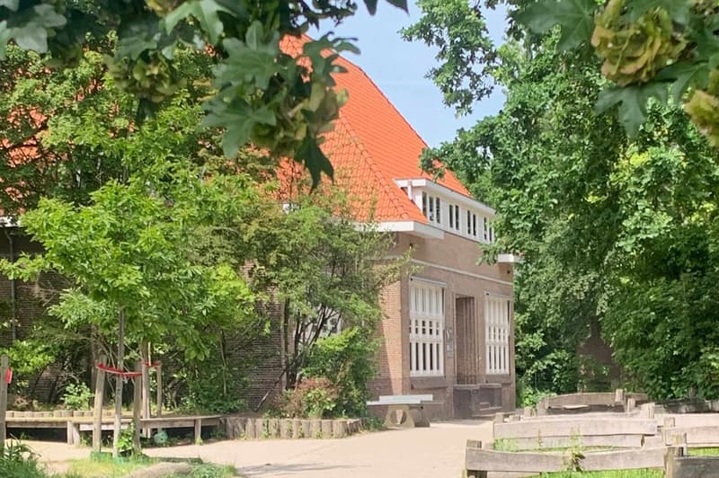 Bzzzonder Bergkwartier van Effenlaan - Buitenschoolse opvang in Amersfoort