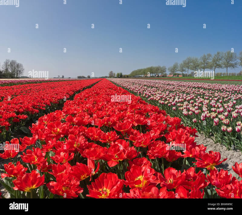 Spring In - Buitenschoolse opvang in Wieringerwaard