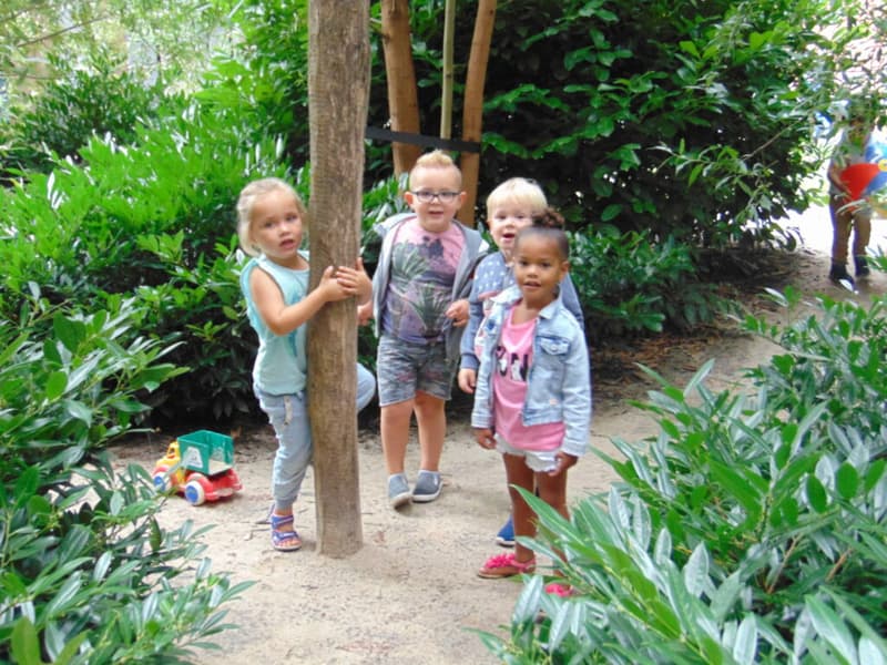 Het Meeuwennest - Daycare in Zoetermeer