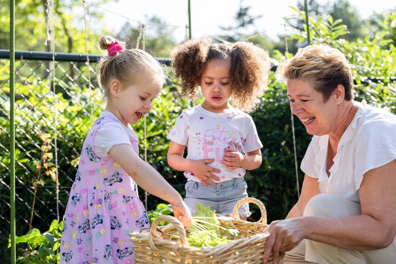 Groene wereld Luchtkasteel - Kinderdagverblijf in Rijen