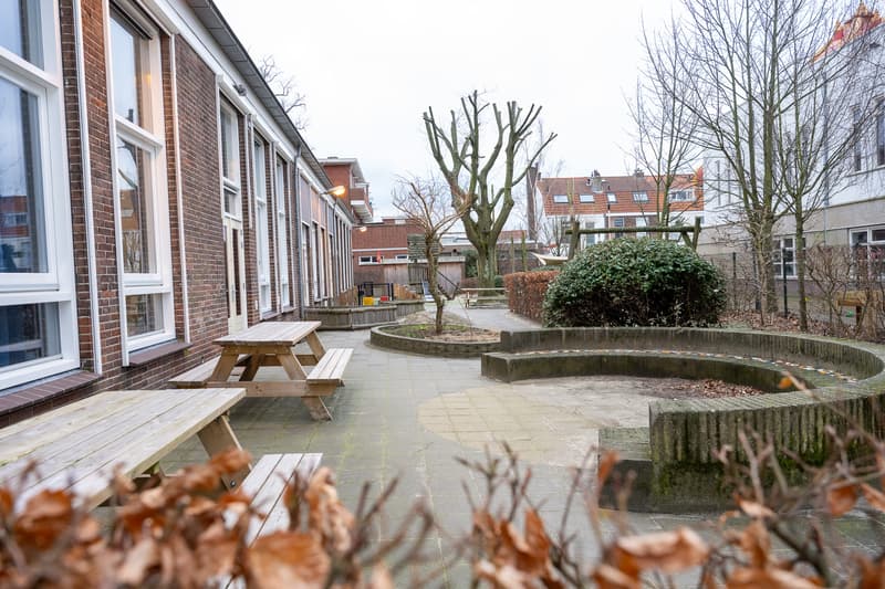 2Zonnebloemen - Daycare in 's-Gravenhage