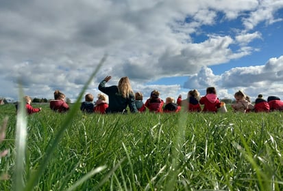 De Koggepurkies B.V. - Image 1