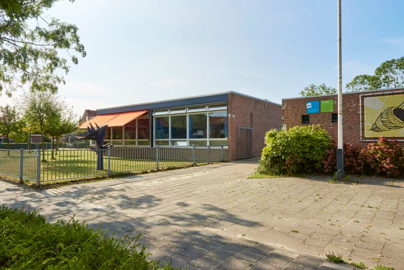 Grote Beer - After-school care in Oostkapelle