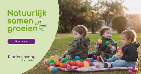 KDV Dribbel - Image 1