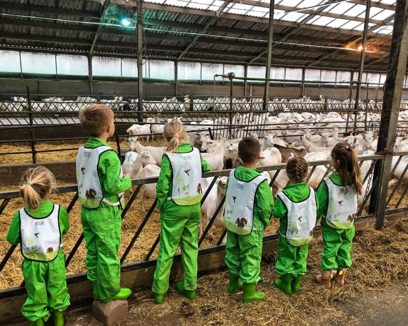 PUUR buitenschoolse opvang - Buitenschoolse opvang in Chaam