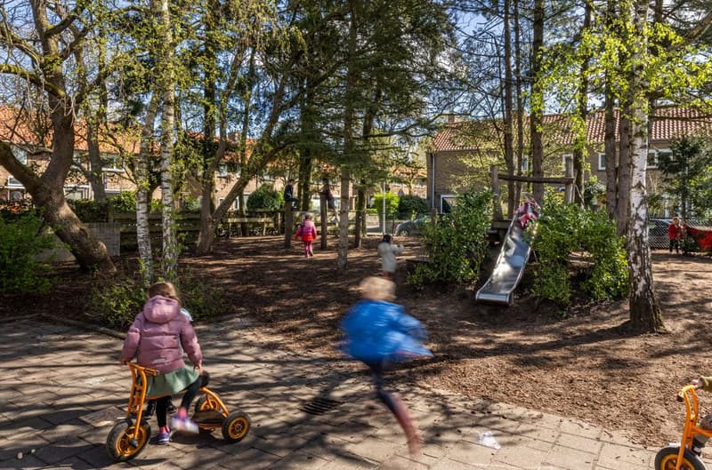 Bink psz Montessori Zuid - Daycare in Hilversum