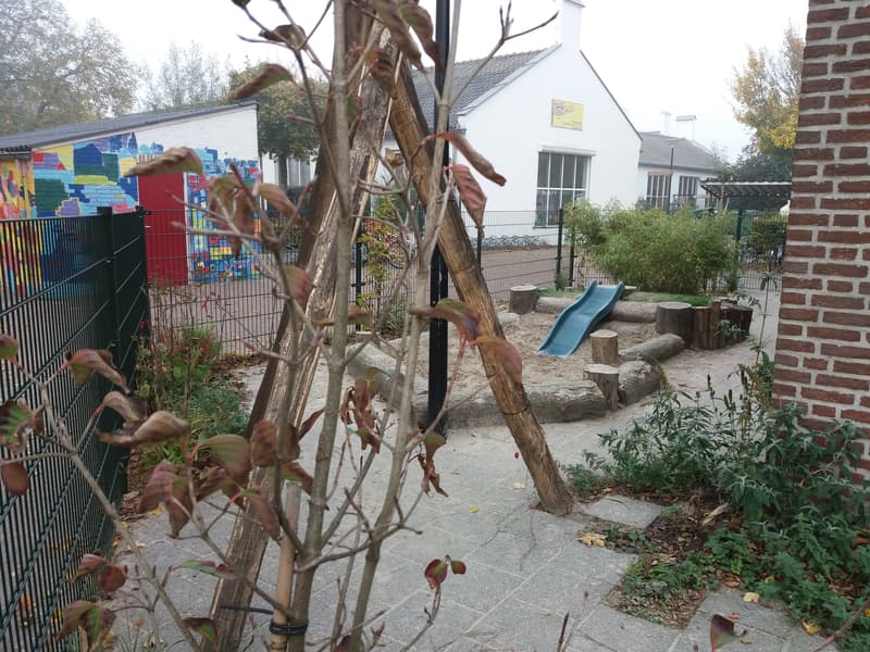 BSO Norlandia kinderopvang, locatie Mariaschool - After-school care in Someren