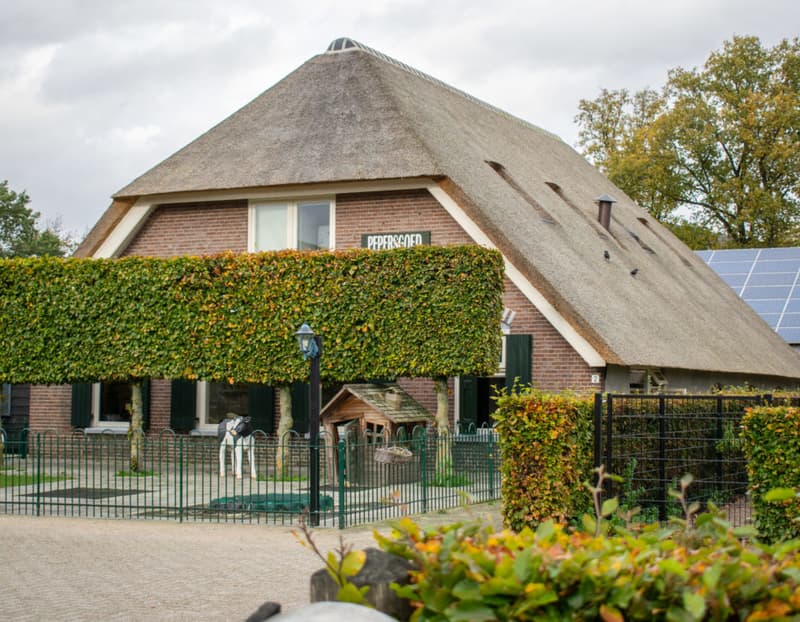 Kindcentrum Pepersgoed - Buitenschoolse opvang in Putten