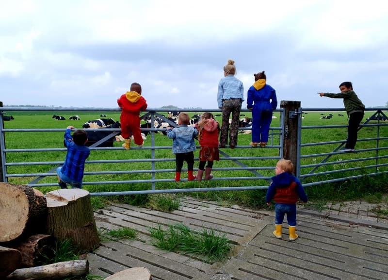 Kinderdagverblijf Schellach - Kinderdagverblijf in Middelburg