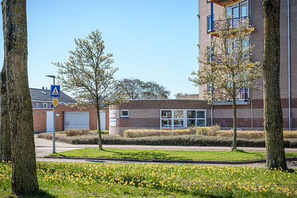 de Bibelebonseberg - Image 1