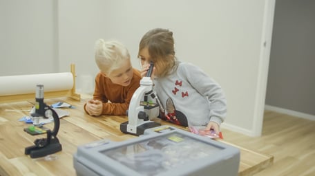 BSO De Ooievaar - Image 1