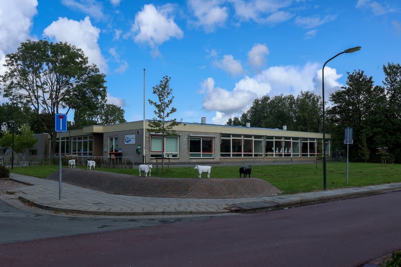 Pinokkio Zoutkamp - Kinderdagverblijf in Zoutkamp