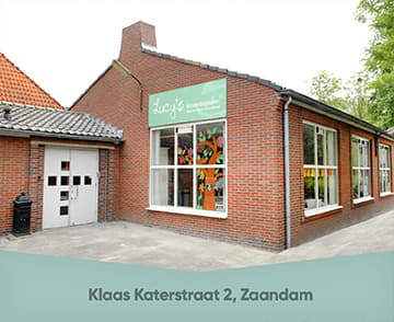 Lucy's Kinderdagsalon B.V. - Kinderdagverblijf in Zaandam