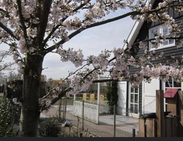 Teun Kinderopvang - Image 1