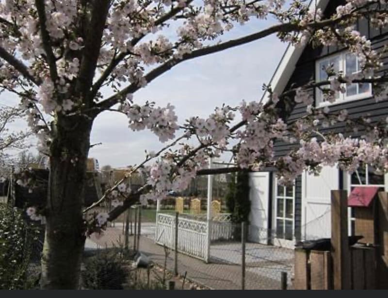 Teun Kinderopvang - Kinderdagverblijf in Amersfoort