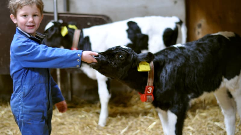 De Dierenvriendjes - Kinderdagverblijf in Nistelrode