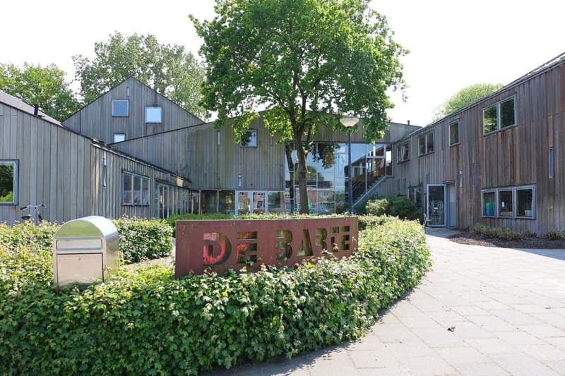 Kinderwoud De Barte - After-school care in De Knipe