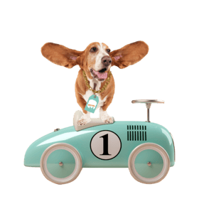 KC Mellepark - Image 1