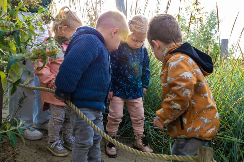 Zo op Olleke Bolleke - Daycare in Sint-Annaland