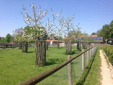 Puur Avontuur - Image 1