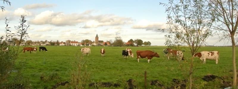 De Boerderij - Buitenschoolse opvang in Amsterdam