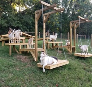 Klim Geiten - Image 1