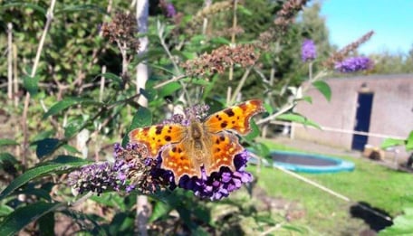 De Geheime Tuin BSO Groenekan - Image 1
