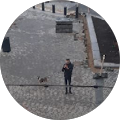 Daan Zom