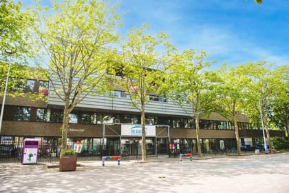 Dikkie Dik - Image 1