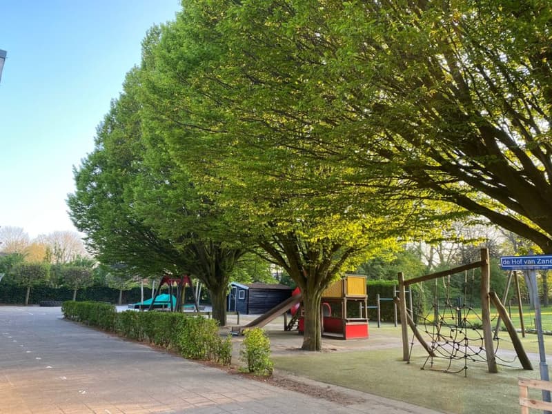 BSO Chapeau Geldermalsen - Buitenschoolse opvang in Geldermalsen