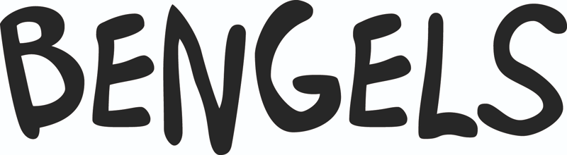 De Bengels - Buitenschoolse opvang in Woerden