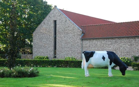 De Beestenboel Heisterhof B.V. - Buitenschoolse opvang in Roermond