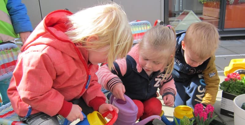 KDV Zuidlaren IKC De Zuid-Wester - Daycare in Zuidlaren