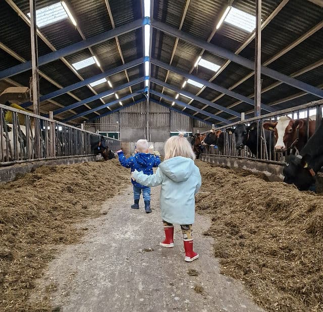 Kinderopvang Madelief - Buitenschoolse opvang in Delfstrahuizen
