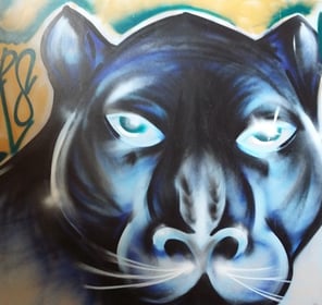 De Panters - Image 1