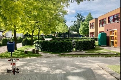 Koppeltie - Zuiderbreedte - Image 1