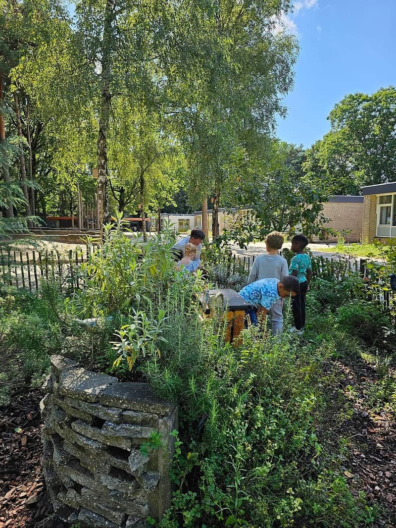 KDV Wandelbos - Kinderdagverblijf in Tilburg