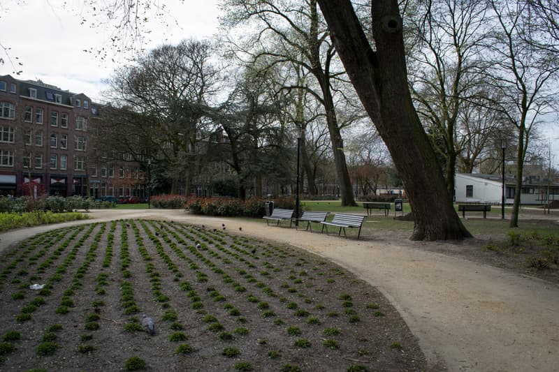 Bilderdijkpark - Buitenschoolse opvang in Amsterdam